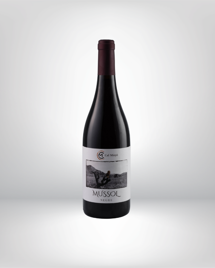 Mussol Negre